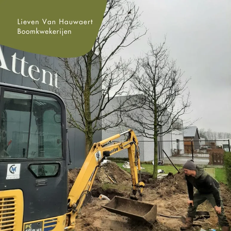 Werken aan de groenaanleg bij Attent